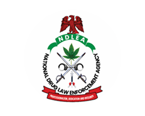 NDLEA2